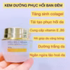 Kem Phục Hồi Heli B5- Huyền Phi - Ảnh 2