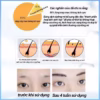 Dưỡng Mày Fkn - Mọc Lông Mày Dài, Dày, Chắc Khỏe Cực Hiệu Quả - Mỹ Phẩm 24H - Ảnh 8