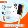 Bàn Chải Đánh Răng ( Lốc 4 Cây)-Coco Joy - Ảnh 2