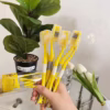 Set 8 Bàn Chải Kiêm Cạo Lưỡi - Gdn - Ảnh 2