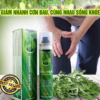 Tinh Dầu Ngải Victophar Giảm Đau Nhức Xương Khớp 100Ml - Singcare - Ảnh 5