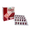 Combo 2 Hộp Viên Uống Ferolic Bổ Sung Sắt, Acid Folic,Inulin, Vitamin B12 Hộp 100 Viên - Singcare - Ảnh 6