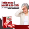 Combo 2 Hộp Viên Uống Ferolic Bổ Sung Sắt, Acid Folic,Inulin, Vitamin B12 Hộp 100 Viên - Singcare - Ảnh 3