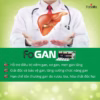 Giải Độc Và Tăng Cường Chức Năng Gan Fogan - Fobelife - Ảnh 4
