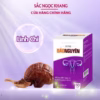 An Phụ Bảo Nguyên - Hỗ Trợ Hạn Chế Sự Phát Triển Của U Xơ [60 Viên] - Ảnh 4