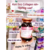 Kẹo Dẻo Collagen Ha + Gummies Springleaf 60 Viên- Springleaf - Ảnh 3