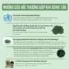 Tảo Xoắn Nhật Bản Spirulina - Algae - Ảnh 2