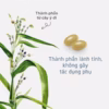 Viên Uống Trắng Da Ý Dĩ Coix Nhật Bản Túi 20 Viên (20 Ngày Sử Dụng) - Dhc - Ảnh 2