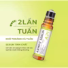Combo Serum Trắng Nách Api, Và Khử Mùi Hôi Nách Api, Son Lăn Nách Api, Lăn Khử Mùi Ngăn Kt1 Tiết Mồ Hôi 72H -Gdn - Ảnh 3