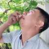 Xịt Xoang Inod Huyền Phi Lá Nốt 20Ml Hỗ Trợ Viêm Xoang Mũi Thông Mũi - Ảnh 5