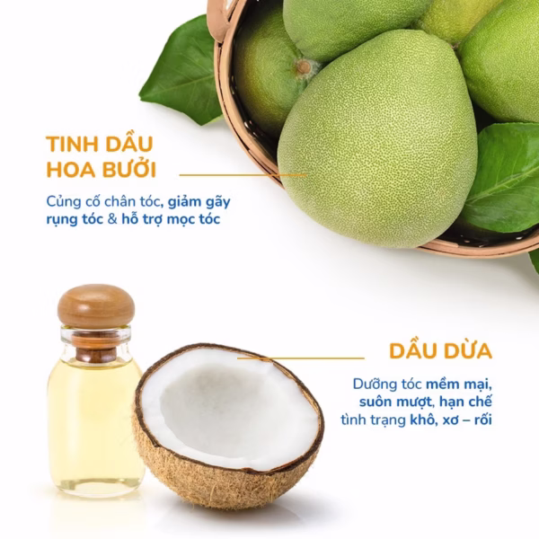 Bộ Đôi (Gội + Xả) Dưỡng Tóc Suôn Mượt Và Giảm Gãy Rụng Tóc Gồm Dầu Gội Bồ Kết (250Ml) & Dầu Xả Hoa Bưởi (250Ml) - Neoneture - Ảnh 7