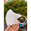 Khẩu Trang Duy Ngọc 5D Thùng 100 Chiếc- Haanh - Ảnh 5