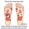 Hộp 50 Miếng Dán Ngải Cứu Thải Độc Chân Bắc Kinh An Toàn, Hiệu Quả Ctb442 - Bechip - Ảnh 7