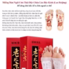 Hộp 50 Miếng Dán Chân Ngải Cứu Thải Độc - Su - Ảnh 4