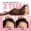 Liệu Trình Siêu Mọc Tóc Biotin & Keratin 4%: Dầu Gội, Dầu Xả, Xịt Mọc Tóc Hiệu Quả Sau 2 Tuần - Milaganics - Ảnh 6