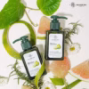 Dung Dịch Vệ Sinh Mellow Cool Wash Huyền Phi Tặng 1 Lọ Nước Hoa Cô Bé - Shop Mẹ Bống - Ảnh 8