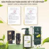 Dung Dịch Vệ Sinh Mellow Cool Wash Huyền Phi Tặng 1 Lọ Nước Hoa Cô Bé - Shop Mẹ Bống - Ảnh 10