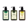 [Ưu Đãi Ra Mắt] - Dầu Xả Thảo Mộc Premium 150Ml - Chava Natural Beauty - Ảnh 2