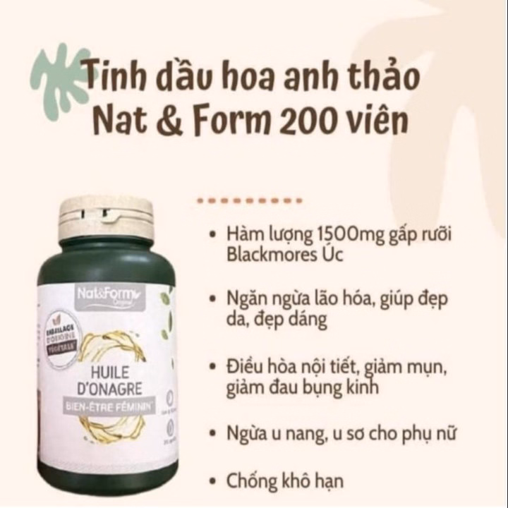 Tinh Dầu Hoa Anh Thảo Nội Địa Pháp - Nat & Form - Ảnh 2