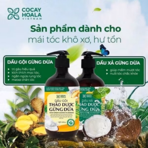 Cặp Dầu Gội Xả Thảo Dược Gừng Dừa Cỏ Cây Hoa Lá 440G X2