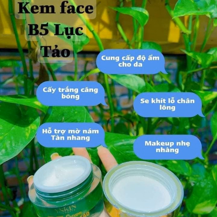 Combo Face Và Serum B5 Lục Tảo - Yskin - Ảnh 13