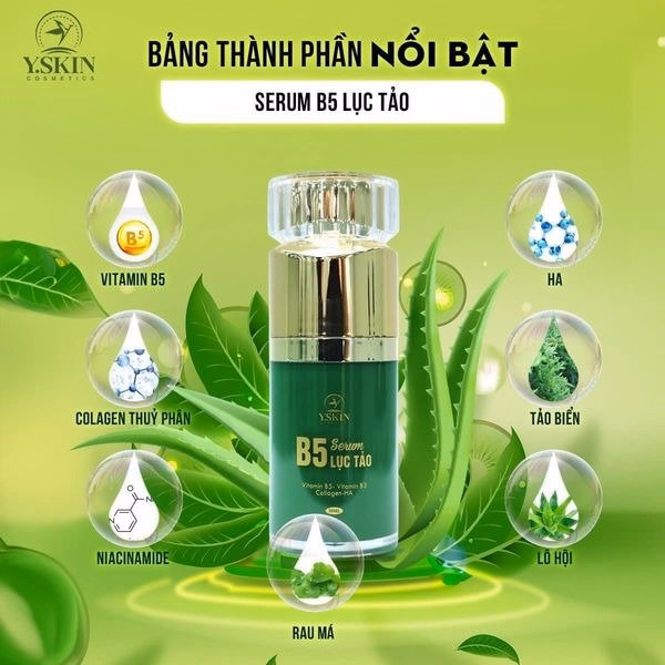 Combo Face Và Serum B5 Lục Tảo - Yskin - Ảnh 15