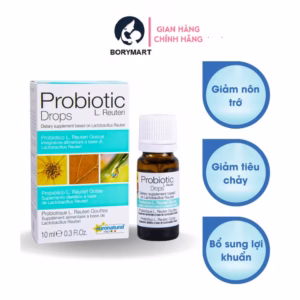 Men Vi Sinh Probiotic L.Reureti Drops (10Ml) - Hỗ Trợ Bổ Sung Lợi Khuẩn, Cải Thiện Hệ Vi Sinh Đường Ruột
