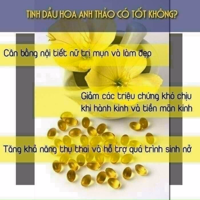 Tinh Dầu Hoa Anh Thảo Hanmi Nội Địa Hàn Quốc - Hanmi - Ảnh 2