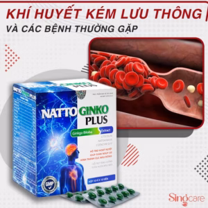 Combo 10 Hộp Viên Uống Hổ Trợ Tăng Cường Tuần Hoàn Máu Não, Giảm Nguy Cơ Hình Thành Cục Máu Đông Natto Ginko Plus 100 Viên - Singcare