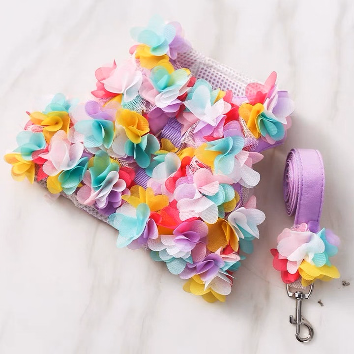 Dây Dắt Yếm Hoa Cho Thú Cưng Đi Dạo Cực Xinh - Ảnh 4