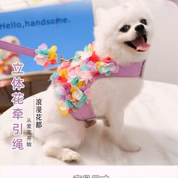 Dây Dắt Yếm Hoa Cho Thú Cưng Đi Dạo Cực Xinh - Ảnh 3