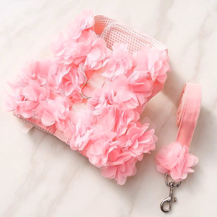 Dây Dắt Yếm Hoa Cho Thú Cưng Đi Dạo Cực Xinh - Ảnh 7