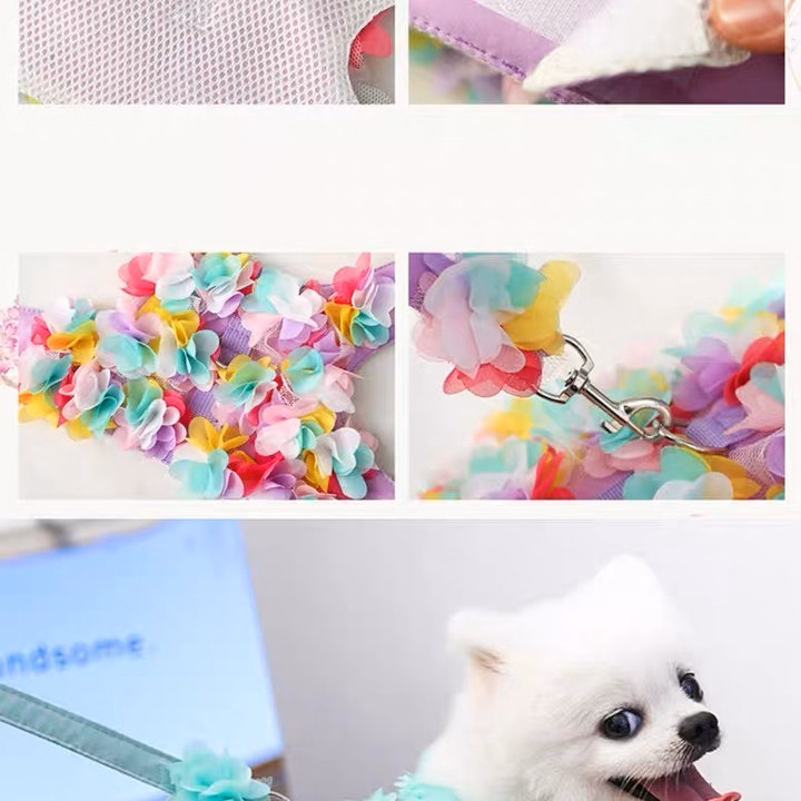 Dây Dắt Yếm Hoa Cho Thú Cưng Đi Dạo Cực Xinh - Ảnh 9