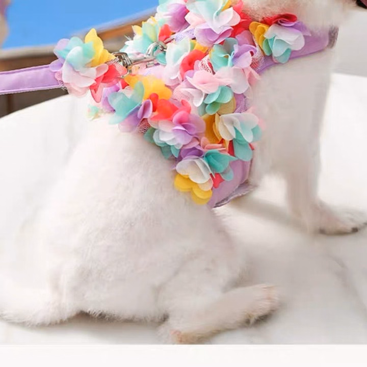 Dây Dắt Yếm Hoa Cho Thú Cưng Đi Dạo Cực Xinh - Ảnh 11