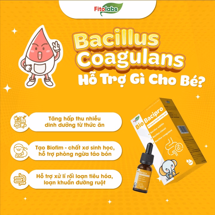 Men Vi Sinh Nhỏ Giọt Bio Bacipro Cho Bé Từ 0 Tháng Tuổi - Ảnh 10