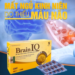 Viên Uống Hổ Trợ Tăng Cường Tuần Hoàn Não Brain Iq 30 Viên - Singcare