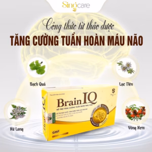 Combo 3 Hộp Viên Uống Hổ Trợ Tăng Cường Tuần Hoàn Não Brain Iq - Singcare