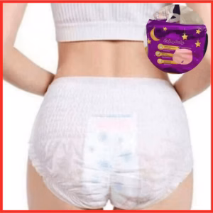 [Túi Tím] Bỉm, Băng Vệ Sinh Phụ Nữ Dạng Quần ( 50 Miếng) Ctb797 - Bechip