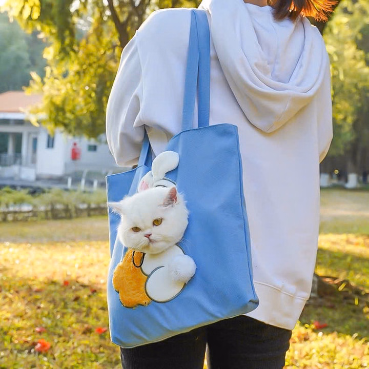 Túi Vận Chuyển Thú Cưng Chó Mèo Đi Dạo - Ảnh 7