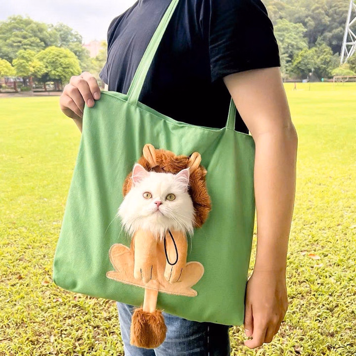 Túi Vận Chuyển Hình Sư Tử Cho Thú Cưng Chó Mèo Đi Dạo - Ảnh 5