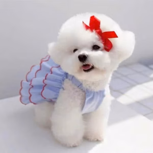 Váy Thú Cưng Chó Mèo Dễ Thương