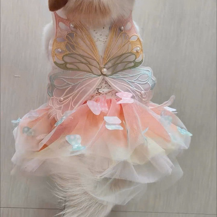 Váy Công Chúa Bướm Xinh Cho Thú Cưng Chó Mèo Dễ Thương - Ảnh 11