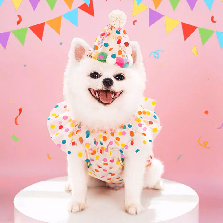 Mũ Sinh Nhật Tiệc Mừng Cho Thú Cưng Chó Mèo - Ảnh 2