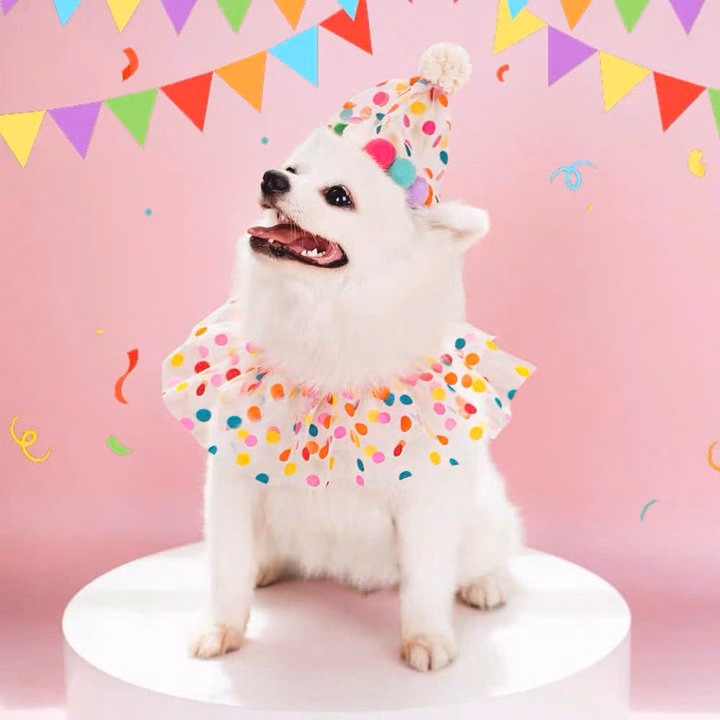 Mũ Sinh Nhật Tiệc Mừng Cho Thú Cưng Chó Mèo - Ảnh 3