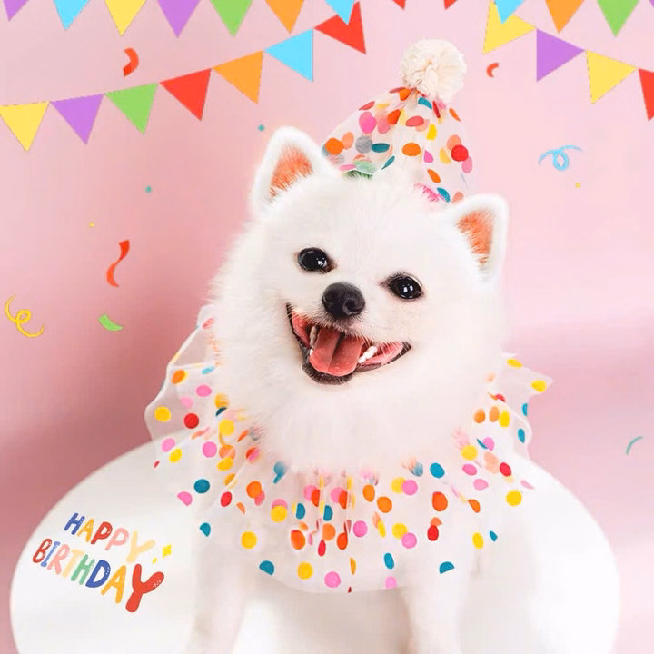Mũ Sinh Nhật Tiệc Mừng Cho Thú Cưng Chó Mèo