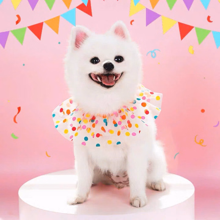 Mũ Sinh Nhật Tiệc Mừng Cho Thú Cưng Chó Mèo - Ảnh 5