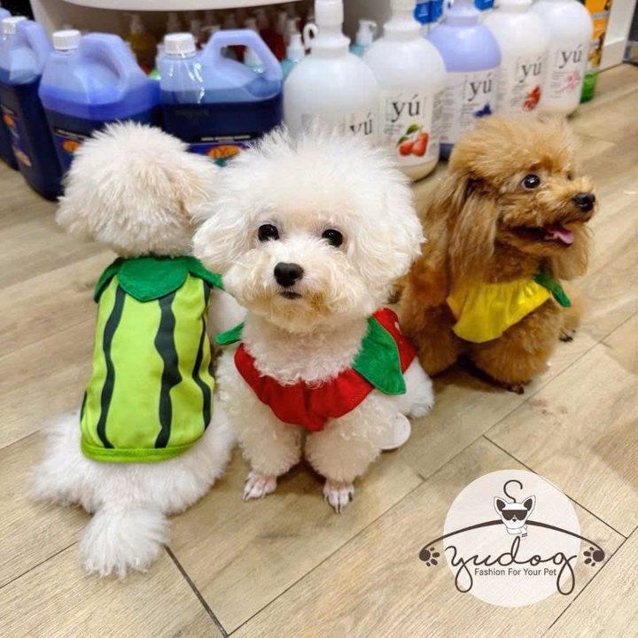 Áo Thun Hình Trái Cây Dễ Thương Cho Thú Cưng Chó Mèo - Ảnh 3