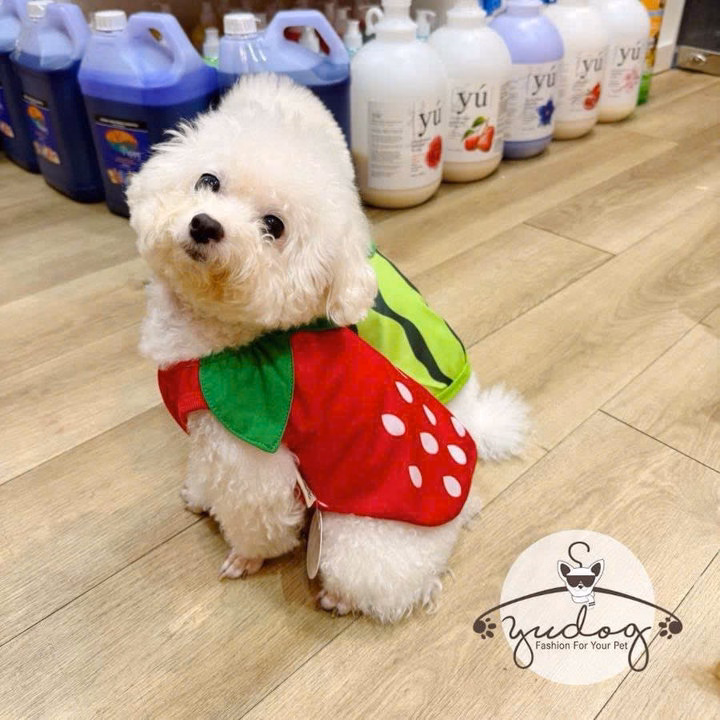 Áo Thun Hình Trái Cây Dễ Thương Cho Thú Cưng Chó Mèo - Ảnh 6