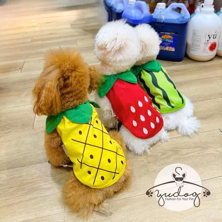 Áo Thun Hình Trái Cây Dễ Thương Cho Thú Cưng Chó Mèo - Ảnh 4