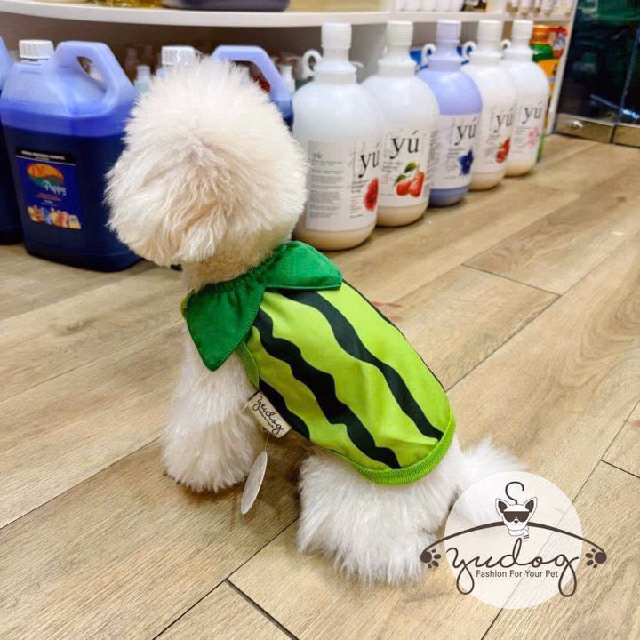 Áo Thun Hình Trái Cây Dễ Thương Cho Thú Cưng Chó Mèo - Ảnh 11